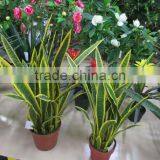 SJ GN 56 artificial Sansevieria plants