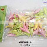 Natural Preserved Flower thumbnail-1