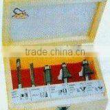 Tungsten Carbide Router Bit--5pcs-set Router Bit-C (0793)