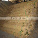 Water Reed for Roof thumbnail-3