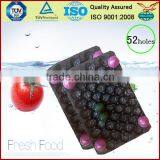 7YR China Golden Supplier Factory Direct Sale Customized Plastic Apple Container Tray thumbnail-1
