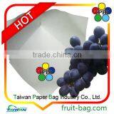 Cultivator Names of Branded Bags Brand Name Grapes thumbnail-1