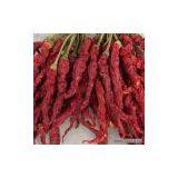 Sell Xi'an Dried Chili thumbnail-1