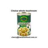 Canned Choice Whole Mushroom in Brine w/ Highest Quality thumbnail-1