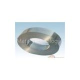 309S Cold Rolled Stainless Steel Strip , ASTM AISI Metai Strip