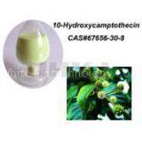 98% 10-Hydroxycamptothecine thumbnail-1