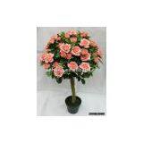 Potted Flower Plants thumbnail-1