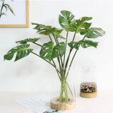 High Quality Artificial Plant Photography Props Real Touch Latex Turtle Leaf thumbnail-1