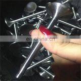 Custom Modified New Design 23-8N Material Engine Valve for All Kind of Car Intake and Exhaust Valves thumbnail-7