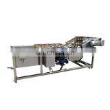 Automatic Lettuce Bubble Washer Machine Mung Bean Sprouts Cleaning Machine thumbnail-5