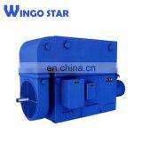 YRKK (IP55) Electric Motor Slip Ring Asynchronous Motor thumbnail-3