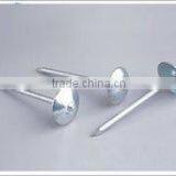 Galvanized Umberlla Head Roofing Nail