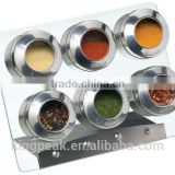 2015 New Design Magnetic Spice Rack Set/ Food Storage Spice Jars/Stainless Steel Masala Spice Container