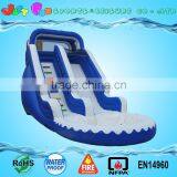 Water Slide With Pool