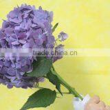 Most Popular Hotsell Hydrangea Flowers thumbnail-2