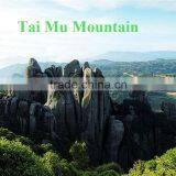 Premium New Coming Fujian Province White Peony Bai mu Dan White Tea thumbnail-2