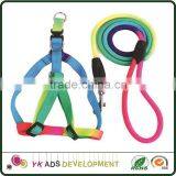 Safety Bucklerope Dog Strap Heat Transfer Printing Washable thumbnail-2