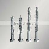 Hex Lag Screw thumbnail-1