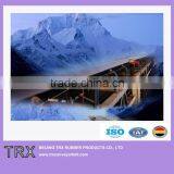 Cold Resistant Belt for Iron Ore/Belt Transporter for Industrial