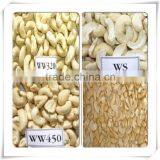 Cashew WS thumbnail-1