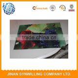 Double Layer High Quality 100% Polyester Digital Print Design Place Mat thumbnail-3