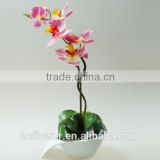 latest design pot flower orchid for living room decoration