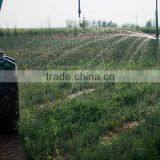 Center Pivot thumbnail-1