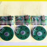 Sound Module for Christmas Cards