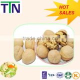TTN 2015 Chinese Walnut Wholesale price for buyers hot sale