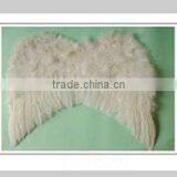 Feather Wings thumbnail-1