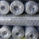 Hex Wire Mesh,hot Dipped Galvanized