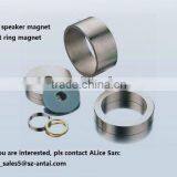 Big Ring Neodymium Coated Speaker Magnet