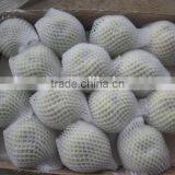 China Fresh Emerald Pear With Cheap Price and Good Quality thumbnail-5