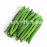 IQF GREEN BEANS/FRONZEN FOODS