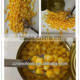 Professional Manufacturer Canned Food Canned Sweet Corn in China