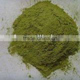 Spinach Powder Dehydrated Spinach Powder thumbnail-1