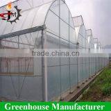 High Quality Commercial Plastic Greenhouse thumbnail-6