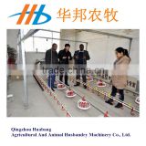 2015 HUABANG good quality and cheap automatic chicken feeding equipment /chicken feeding line