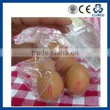 PP PS PE PET EGG Egg Tray Making Machine thumbnail-6