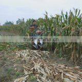 Sweet Corn Reaper Machine on Sale thumbnail-4