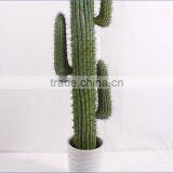 SJ3001017 Landscaping Decorative Shaped Cactos Artificial Plastic Cactus Plants thumbnail-3