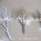 SJCHY0050 Wholesale Artificial Dry Tree Branch Without Leaves for Centerpieces thumbnail-5