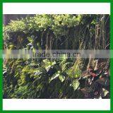 FO-GW018 Outdoor Green Plant Wall for Decor thumbnail-2