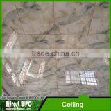 UV Coating Surface Wall Panels for Living Room Marlbe Panel , Wall Cladding Marble Texture UV Board thumbnail-5