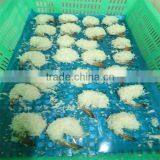 Frozen Seafood/buy Live Shrimp thumbnail-1