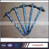 Iron Material Varnish Sprayed Farming Tools&Garden Tools Nail&Wire thumbnail-5
