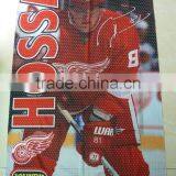 Customized Polyester Digital Flag thumbnail-1