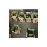 Mercury Metal Silver Liquid thumbnail-2