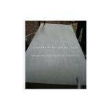 Birch Plywood Surface of the Middle East(Complete in Specifications) thumbnail-2