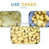 Potato Peeling Machine/ Vegetable Washer and Peeler thumbnail-7